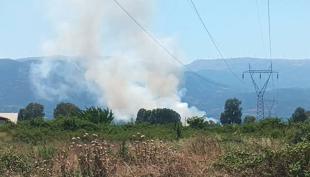 Αργολίδα: Φωτιά μικρής έκτασης μεταξύ Μύλων και Νέας Κίου