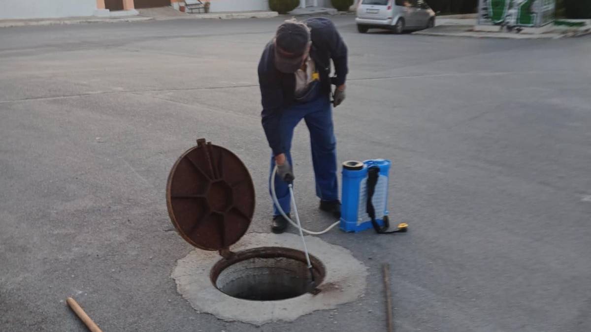 Ολοκληρώθηκε ο δεύτερος ψεκασμός για κατσαρίδες στο Άργος – Σημαντική μείωση πληθυσμού στα φρεάτια