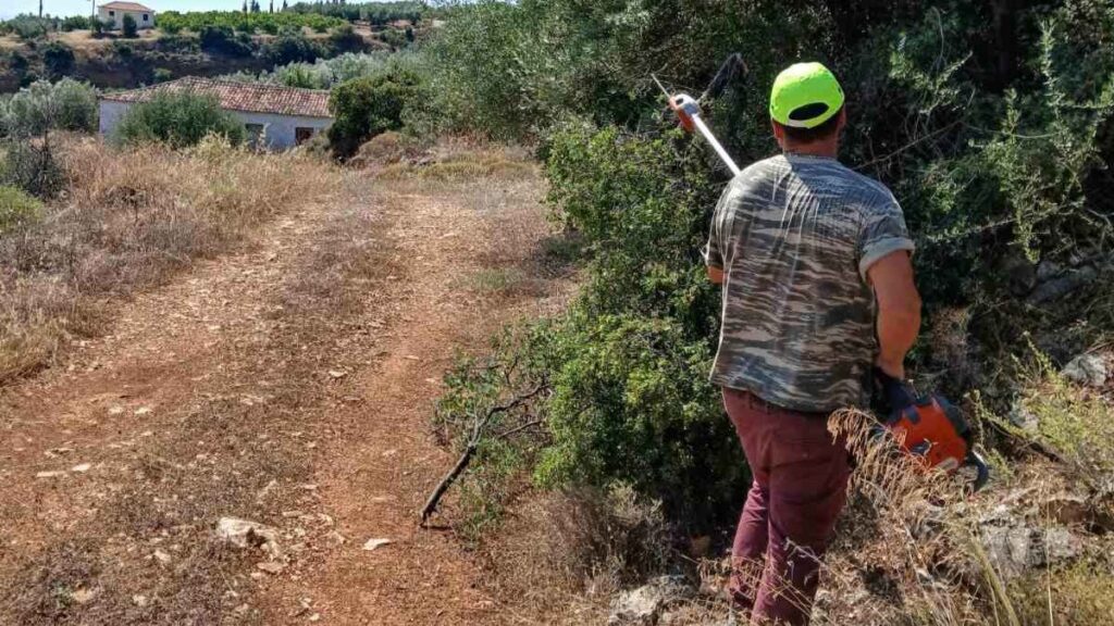 Καθαρισμοί Άργος