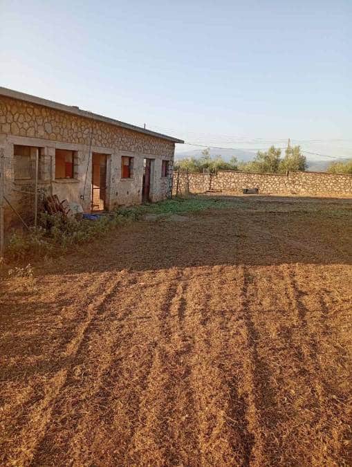 καθαρισμός χόρτα Δήμος Άργους - Μυκηνών