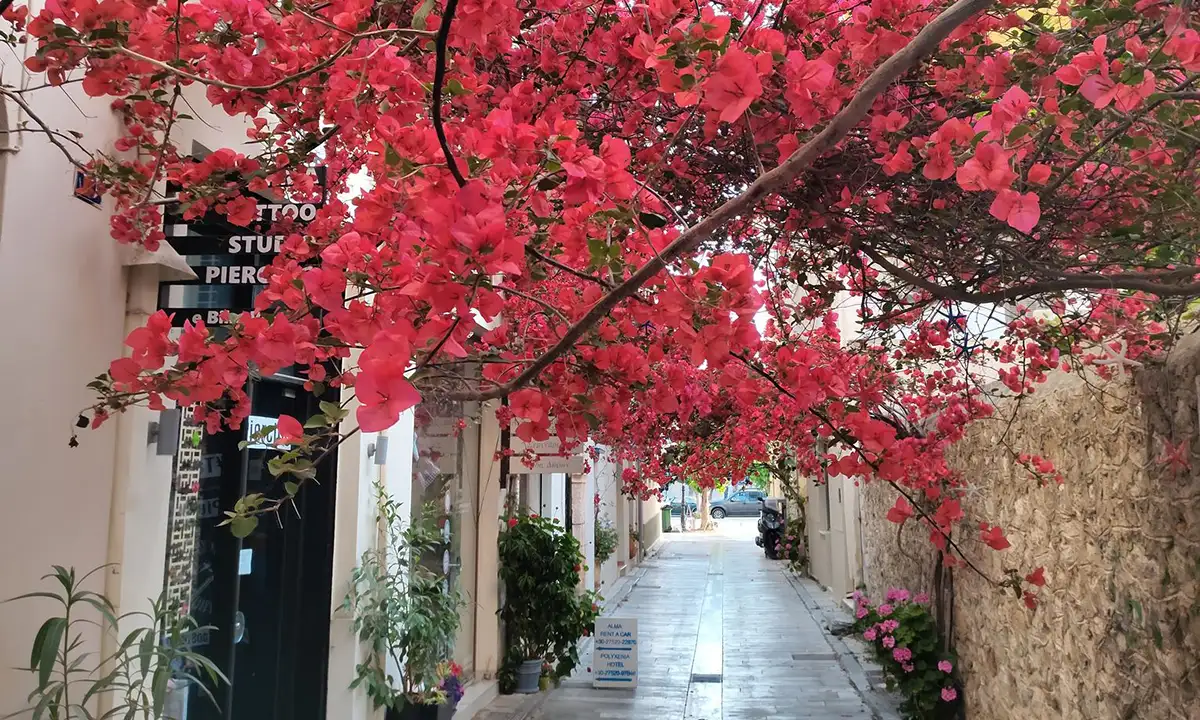 Η Παλιά Πόλη του Ναυπλίου δεν είναι ντεκόρ – Είναι μνήμη, ρίζα, παρόν