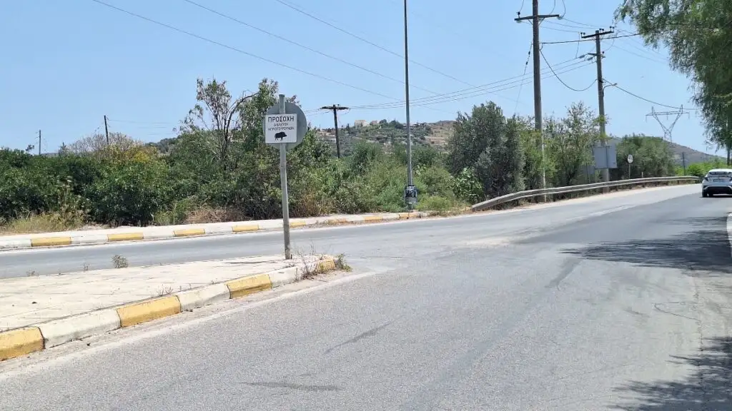 Πινακίδα για αγριογούρουνα στην Αγία Ελεούσα