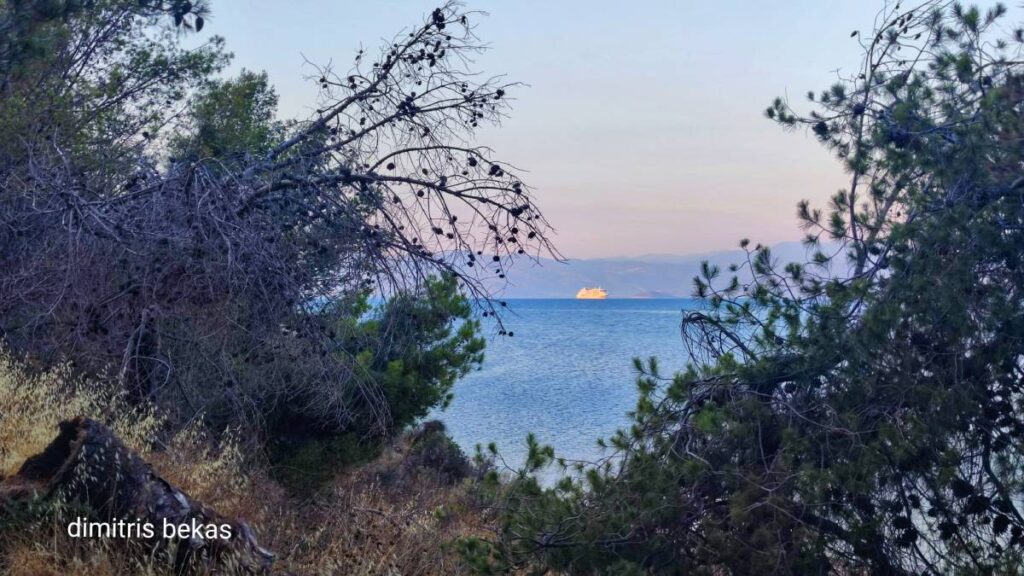 silver muse κρουαζιερόπλοιο Ναύπλιο