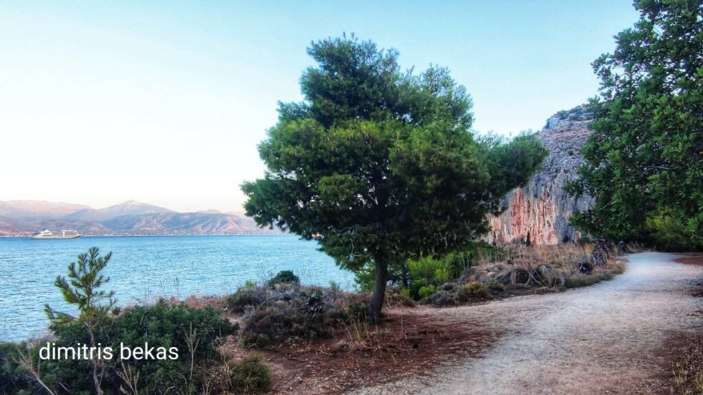 silver muse nafplio 11 (1)