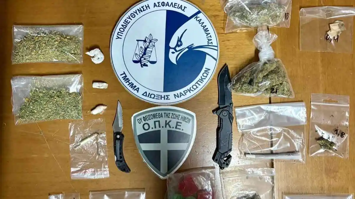 Μεσσηνία: Συνελήφθησαν 17 άτομα σε αλσύλλιο μη οργανωμένων κατασκηνωτών
