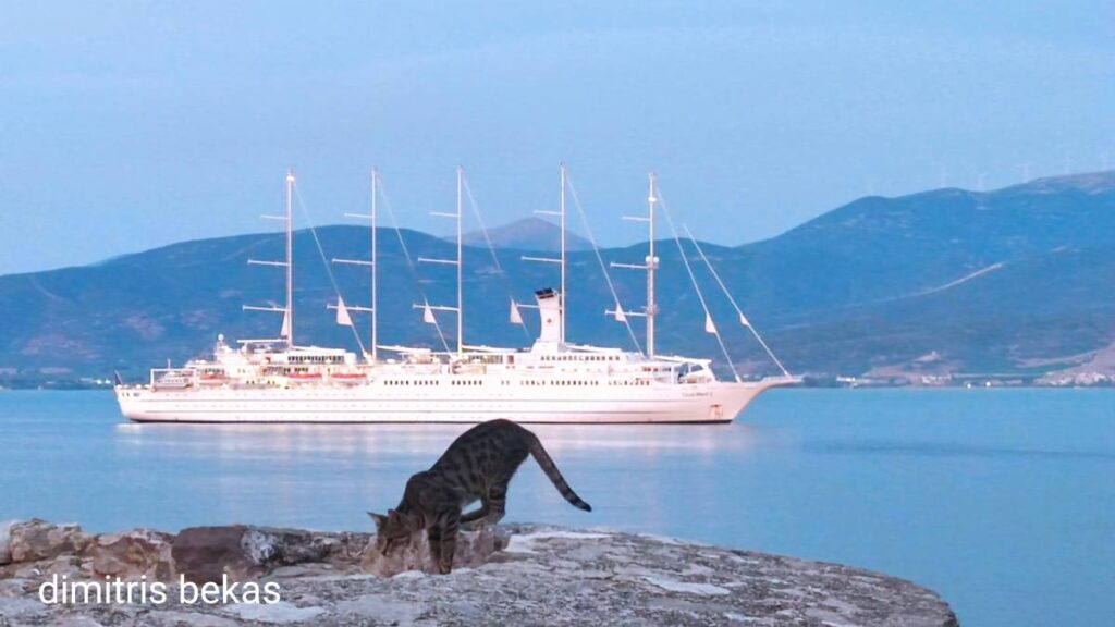 club med 2 1 (1)