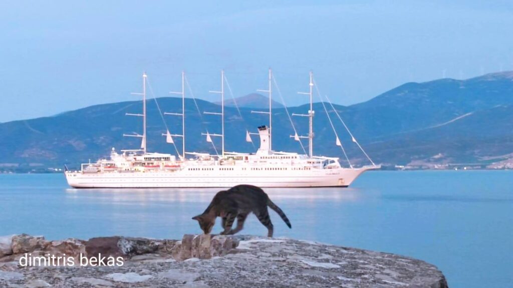 club med 2 2 (1)
