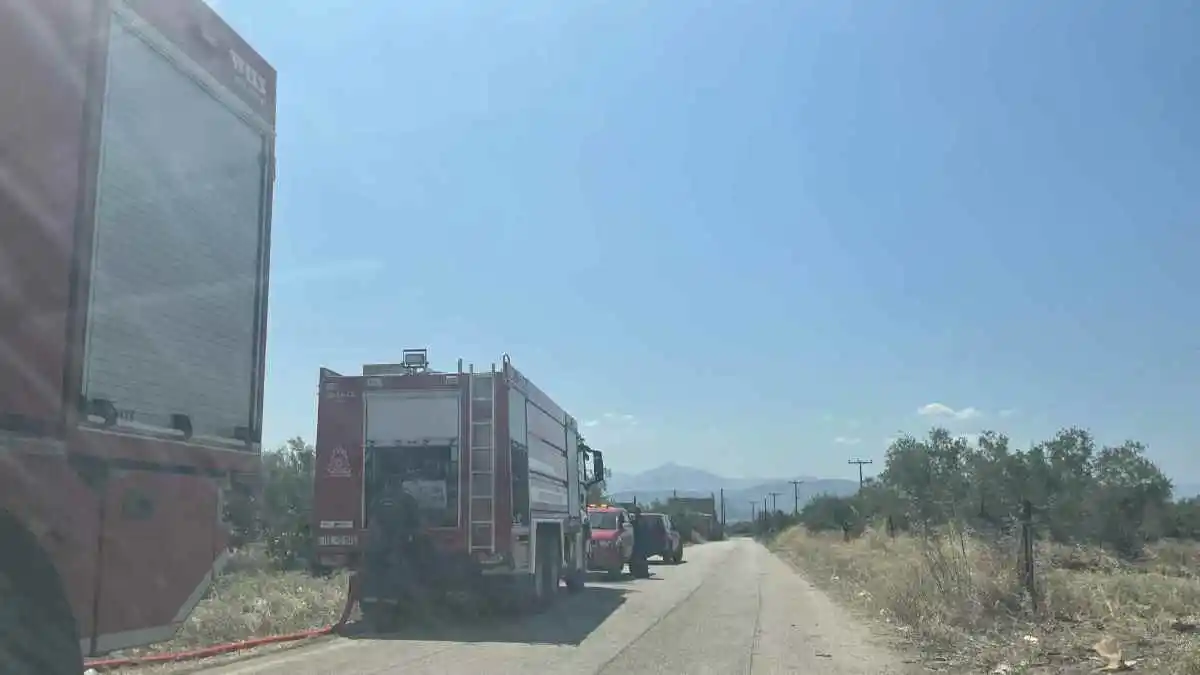 Φωτιά στην Αγία Τριάδα – Κινητοποίηση της Πυροσβεστικής Άργους και Ναυπλίου
