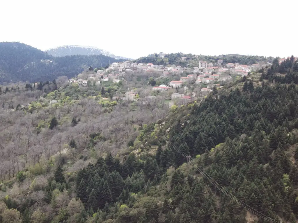 Κοσμάς Αρκαδίας