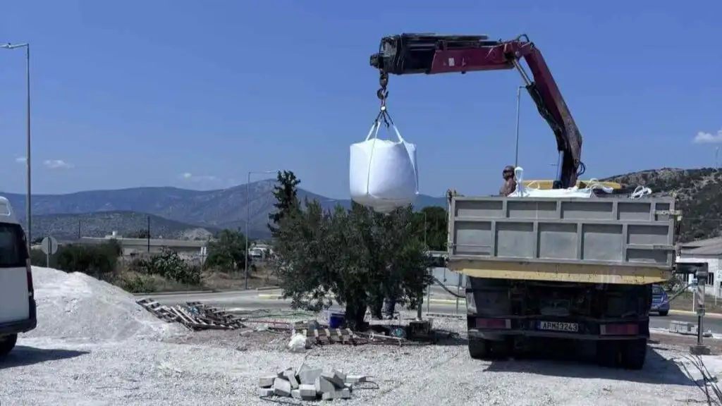 erga kranidi