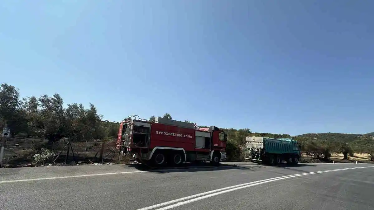 Τι λέει ο δήμος Άργους Μυκηνών για την φωτιά στα Φίχτια