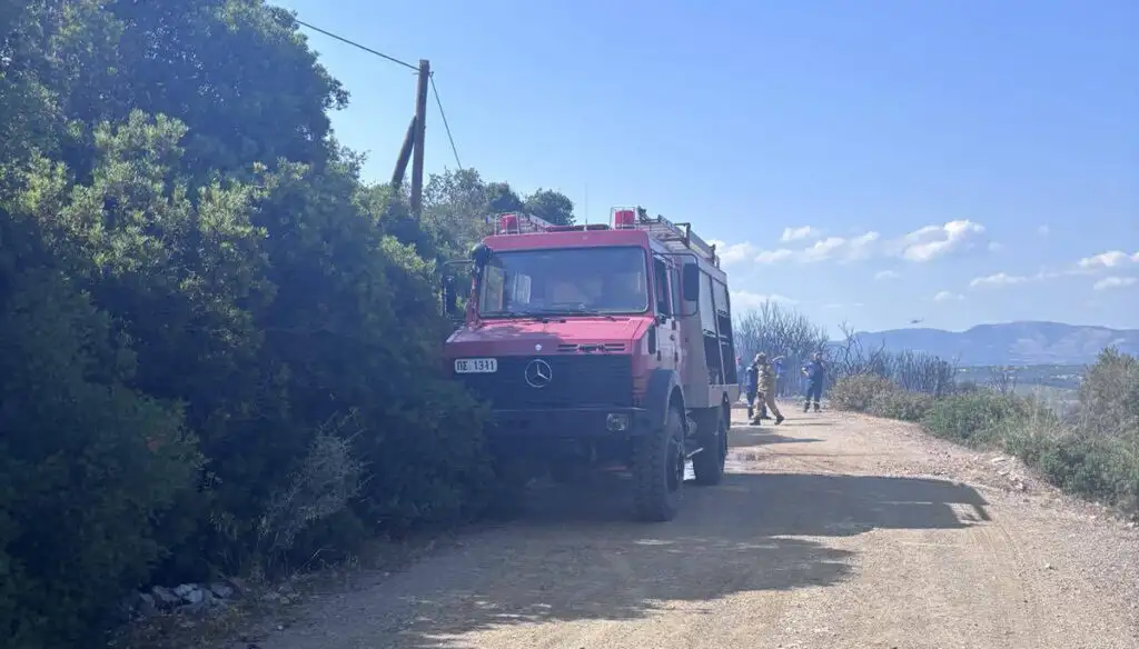Φωτιά στην Πελεή Κρανιδίου