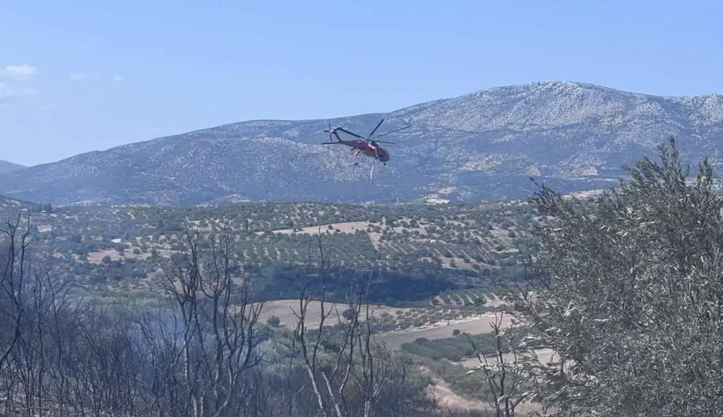 Φωτιά στην Πελεή Κρανιδίου
