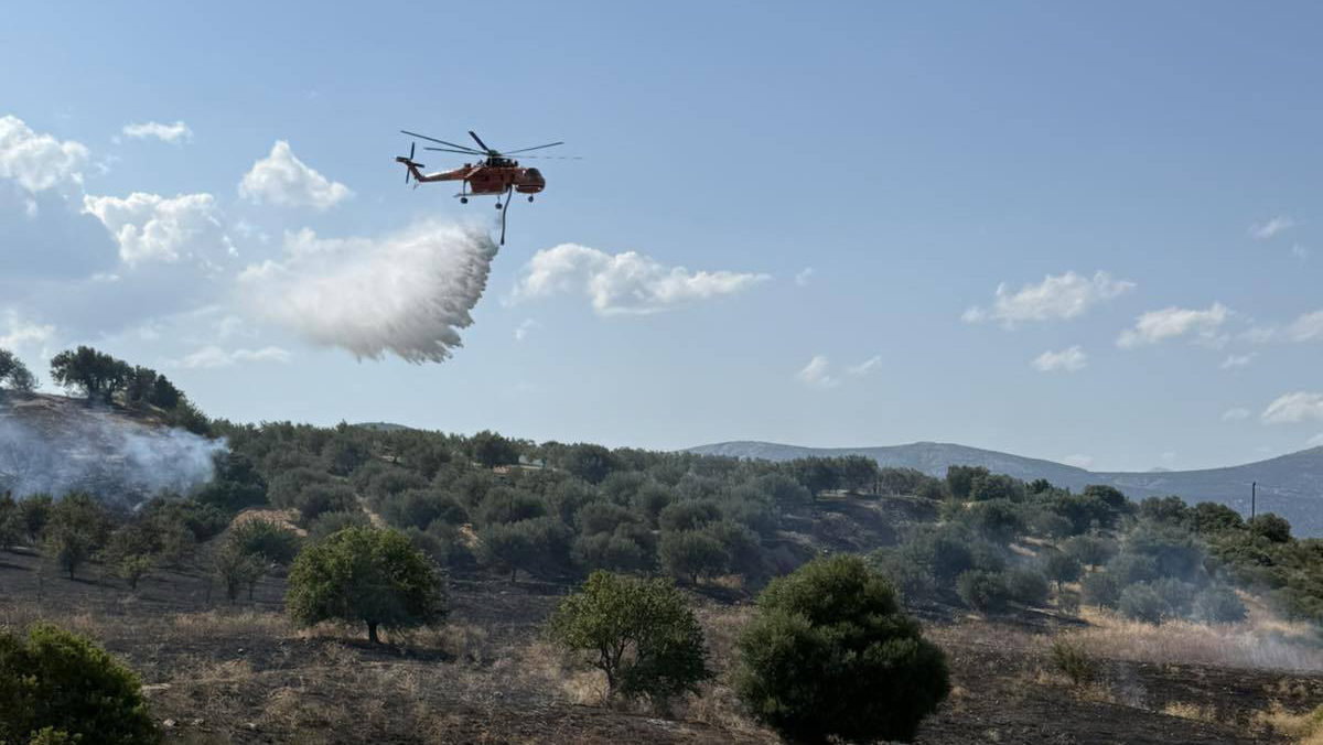 Φωτιά στην Αργολίδα: Μάχη με τις φλόγες σε δυσπρόσιτη περιοχή στο Κρανίδι