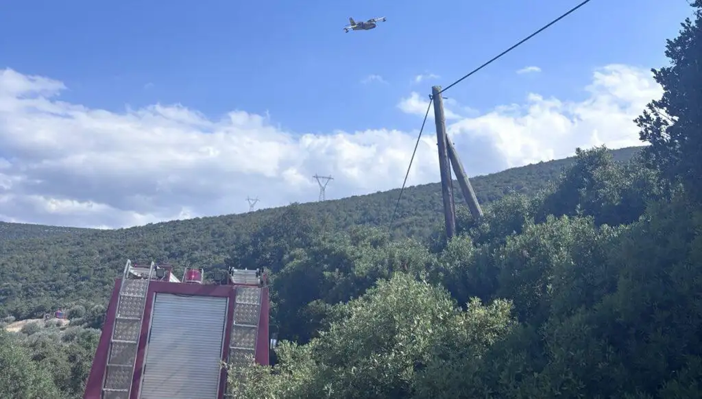 Φωτιά στην Πελεή Κρανιδίου