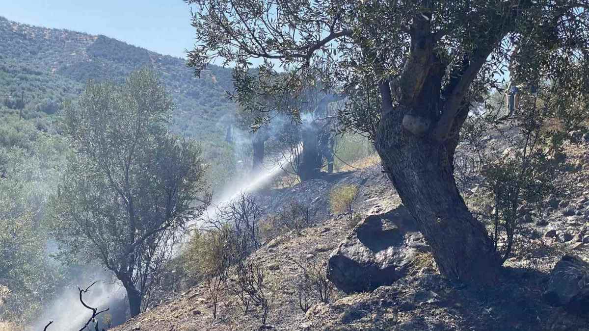 Υπό έλεγχο μικρής έντασης φωτιά στη Θερμησία Αργολίδας