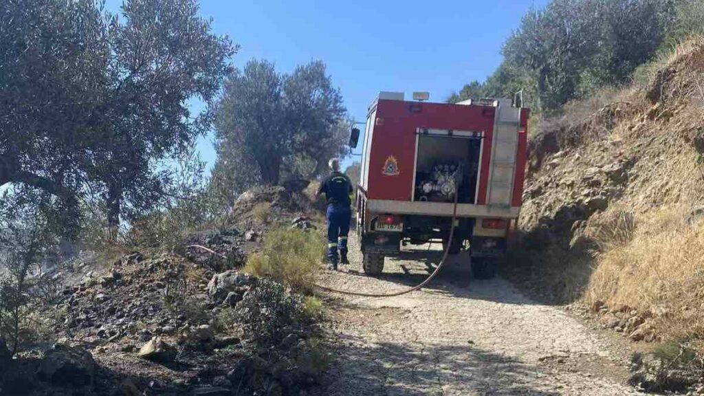 Φωτιά Θερμησία