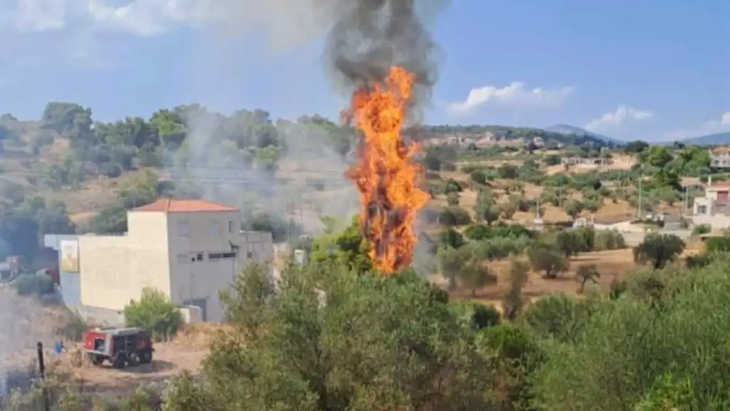 Φωτιά Κρανίδι
