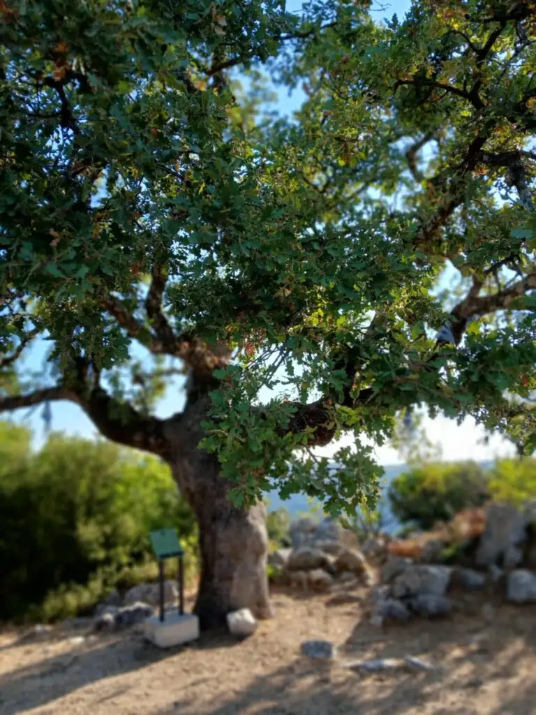 Μαραθώνιος ιστορικός περίπατος στα ίχνη του Παπαφλέσσα