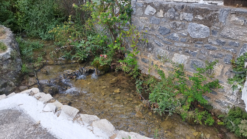 Πλάτανος Κυνουρίας