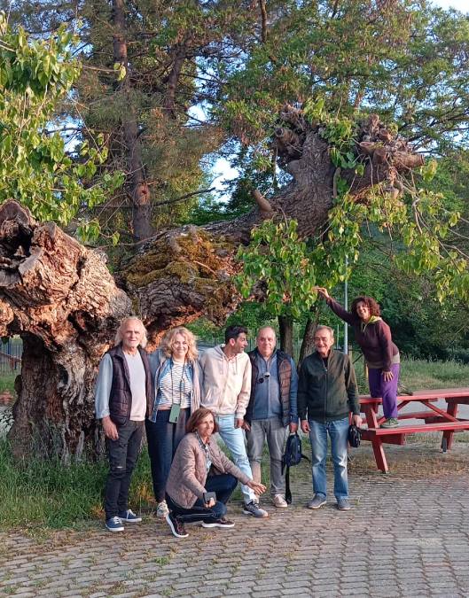 Πολιανή Μεσσηνίας "Τα Γεράκια"