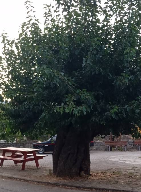 Πολιανή Μεσσηνίας "Τα Γεράκια"