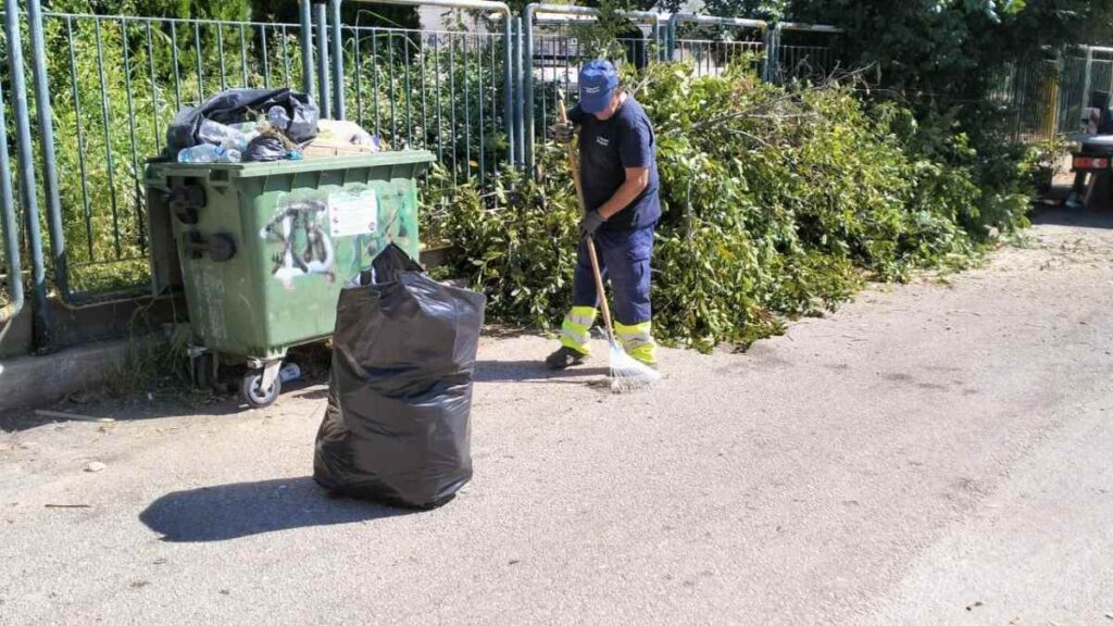 Υπηρεσία Πρασίνου