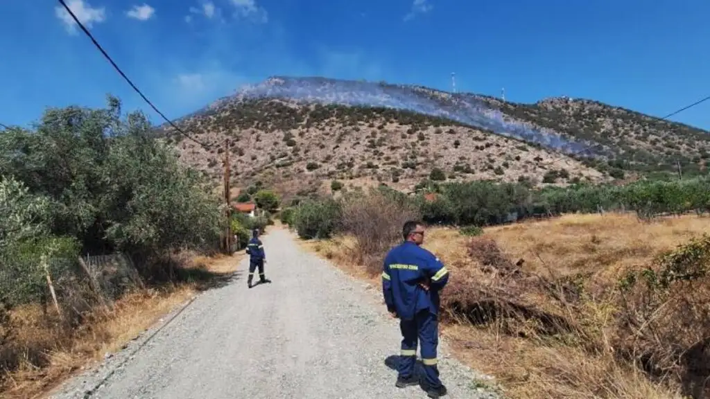 πυρκαγιά Ερμιονίδα
