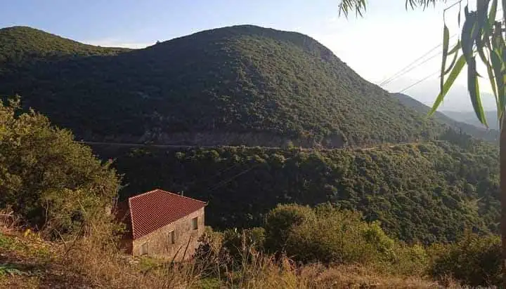 Ρίπεσι Τριφυλίας