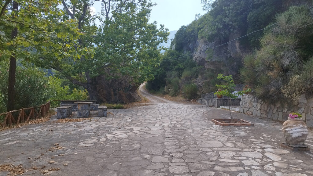 Σίταινα
