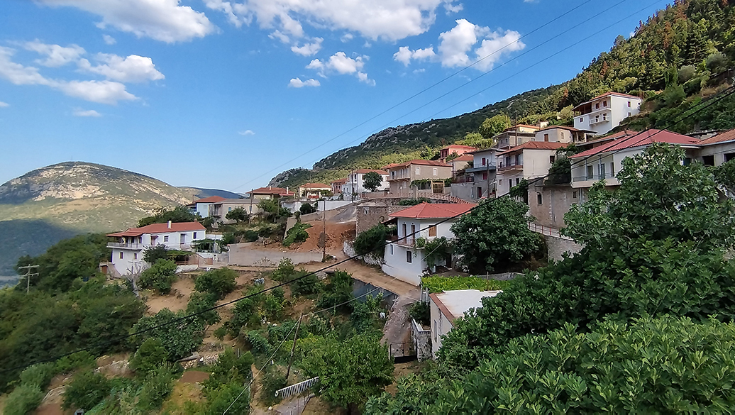 Πάρνωνας: Ραντεβού στη Σίταινα για τη 2η Γιορτή Μανιταριών