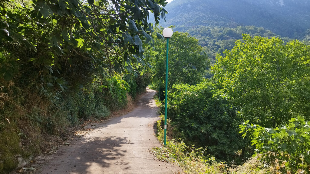 Σίταινα