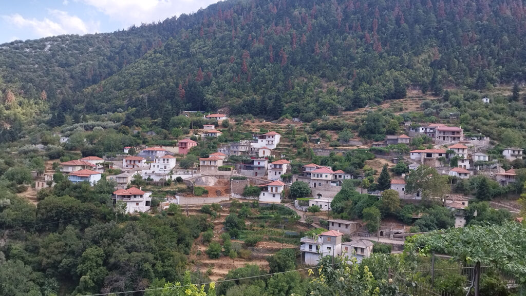 Σίταινα