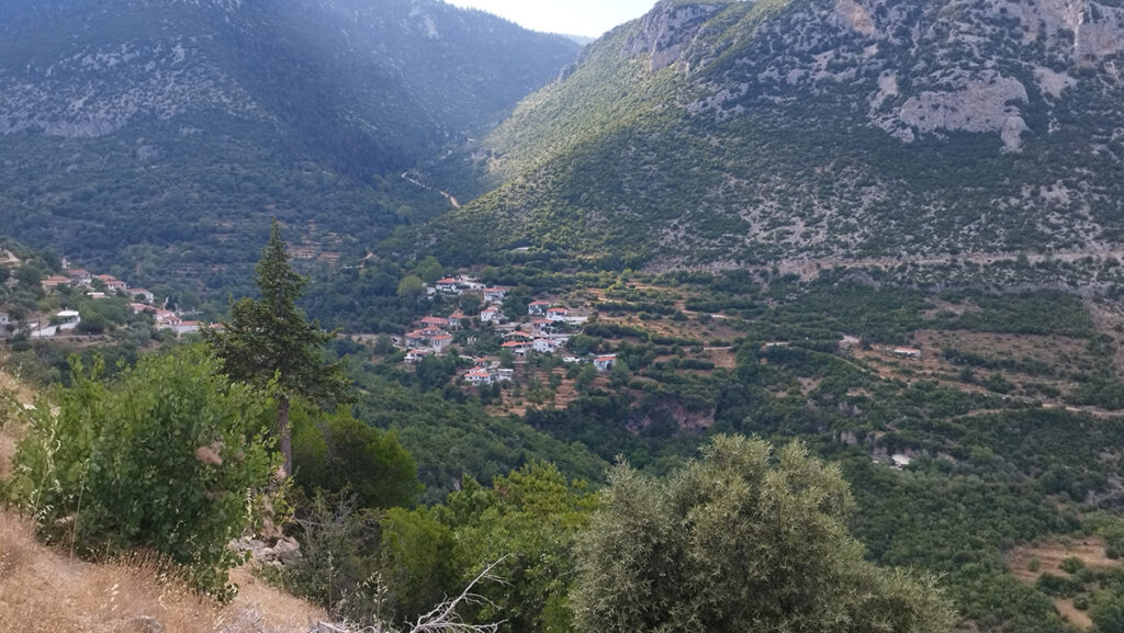 Σίταινα