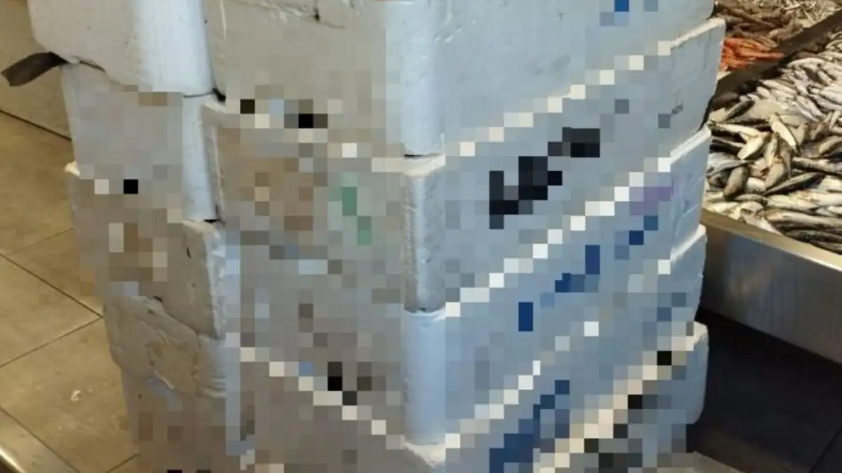 Κόρινθος: 280 κιλά τσιπούρας χωρίς παραστατικά – Στη φάκα και ο ιχθυοπώλης