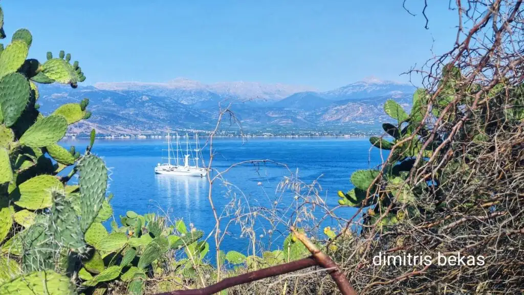 wind star nafplio 5