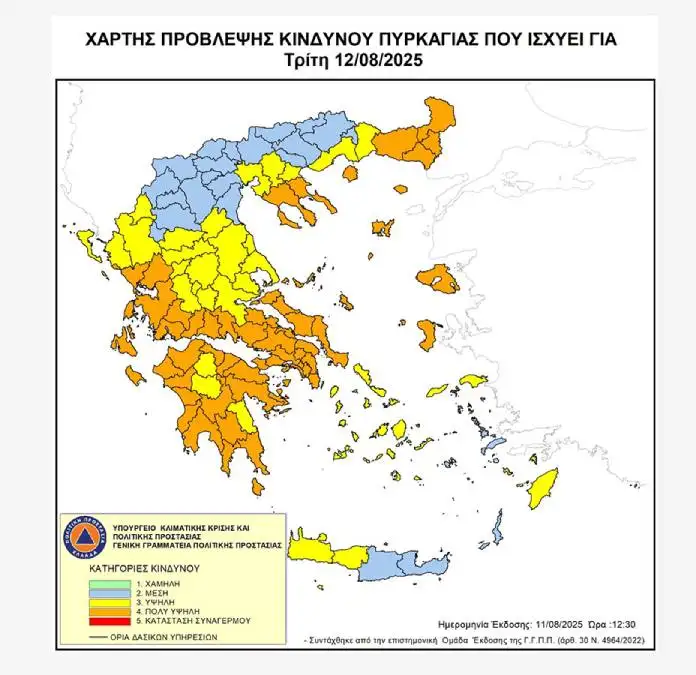 xartispirkagias 12.8