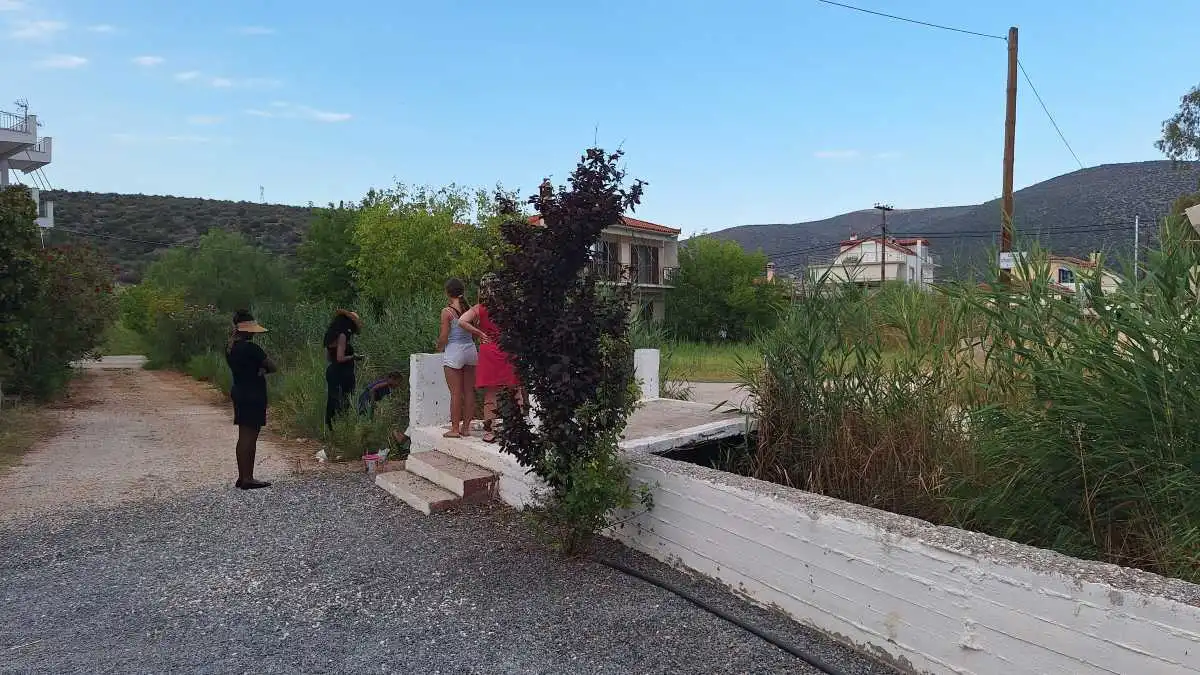 Κάντια: Χελώνες και χέλια στο ποταμάκι της ακτής μαγνητίζουν τουρίστες και περαστικούς