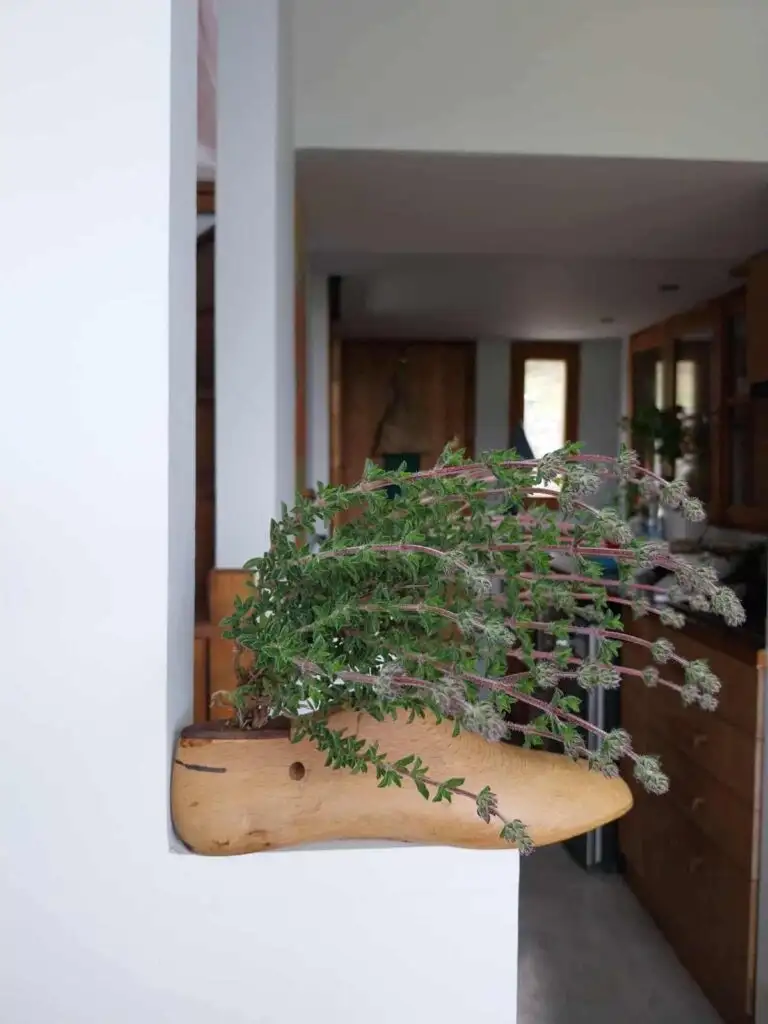 Chariklo, σπίτι Δήμητρας Σωτηριάδου στην Κρήτη