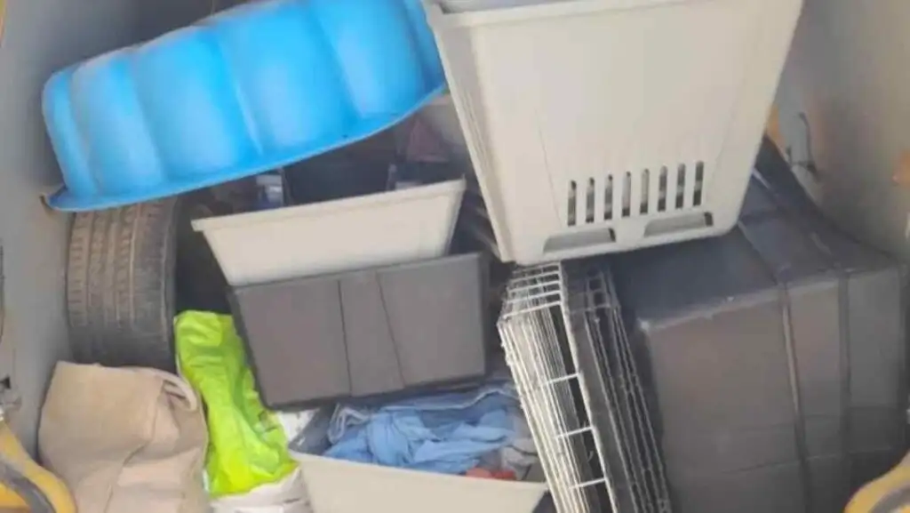 Δωρεά για αδέσποτα Άργους