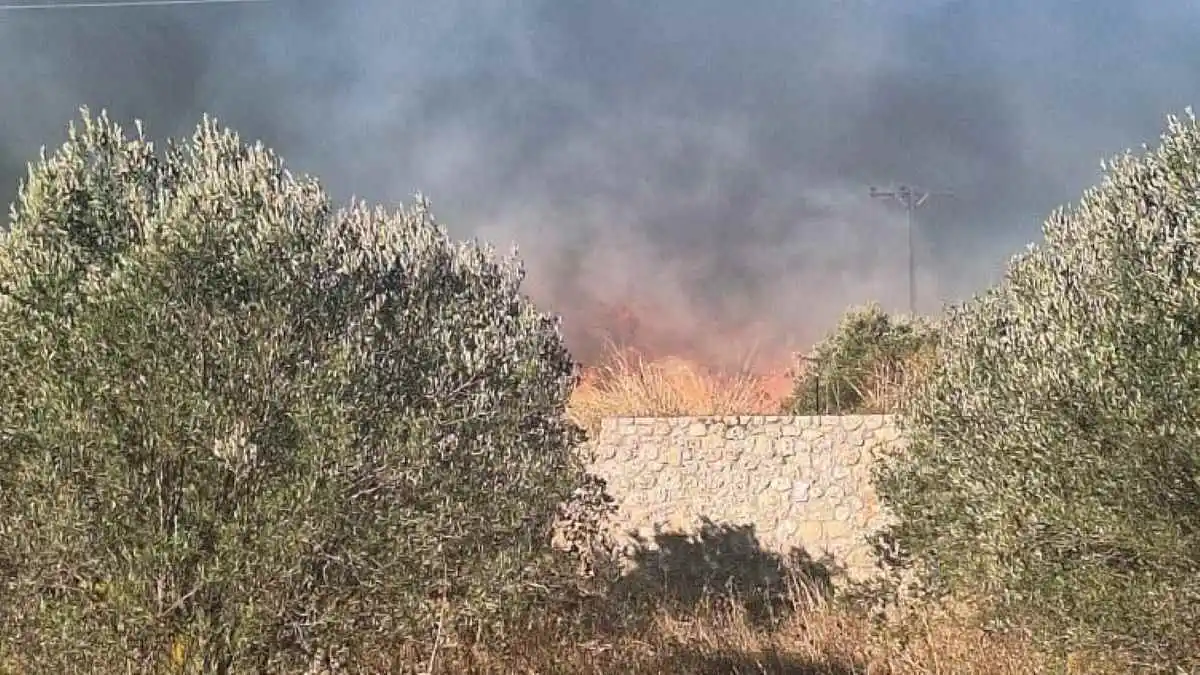 Τι λέει ο δήμαρχος Ερμιονίδας για την μεγάλη φωτιά στην περιοχή