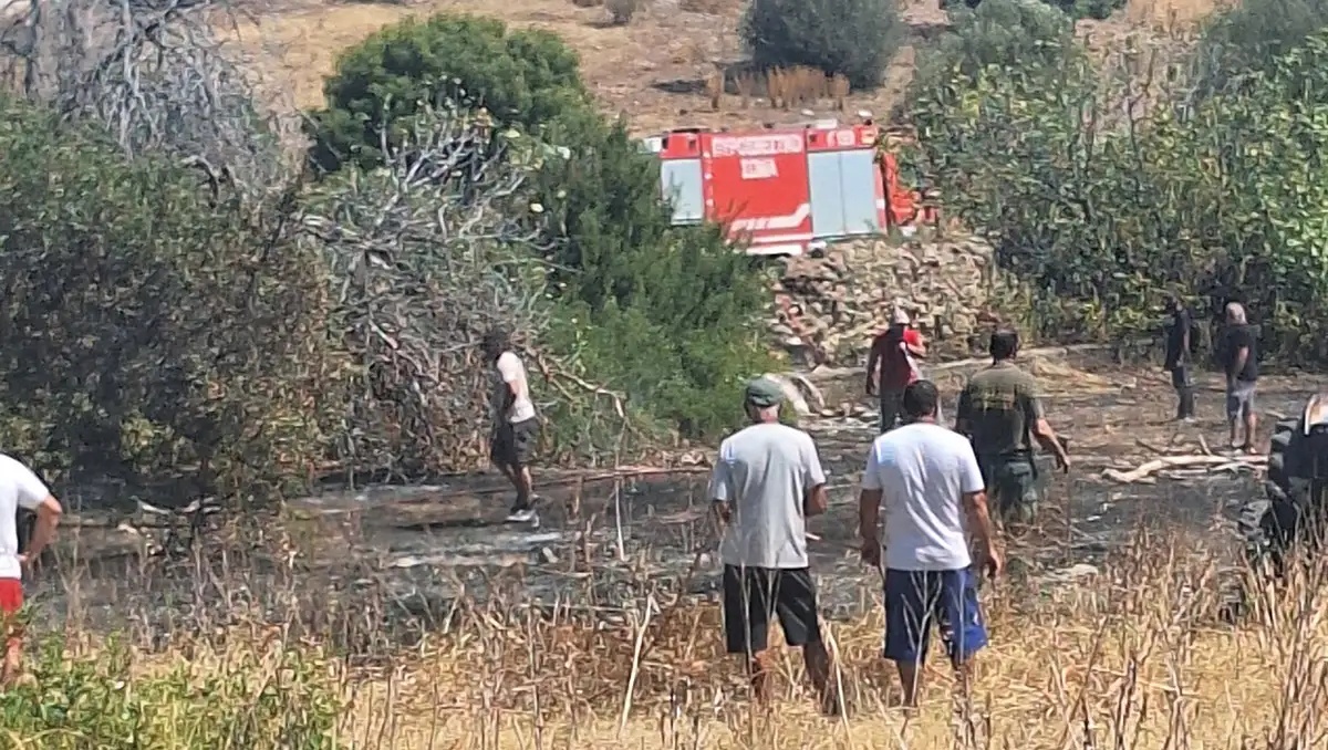 Άμεση επέμβαση για τρεις σχεδόν ταυτόχρονες εστίες φωτιάς στην Ερμιόνη