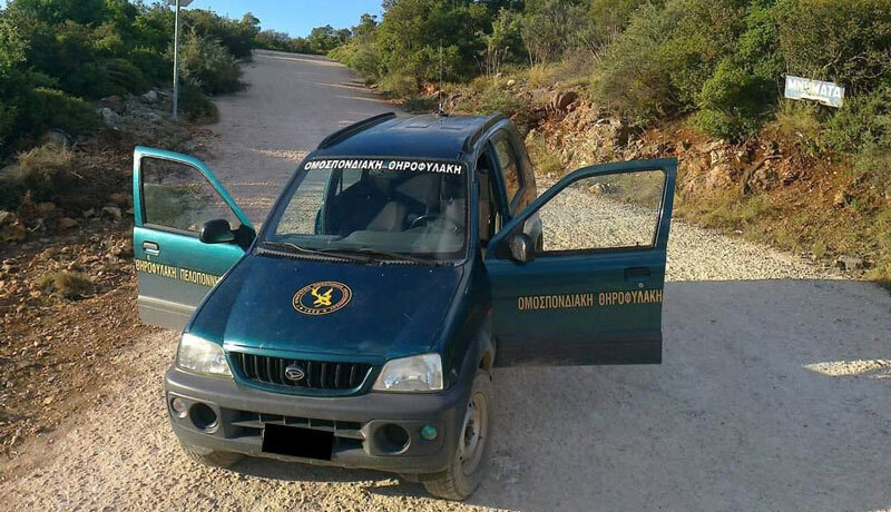 Πελοπόννησος: Κατάσχεση όπλων και πρόστιμα για παράνομο κυνήγι λαγού