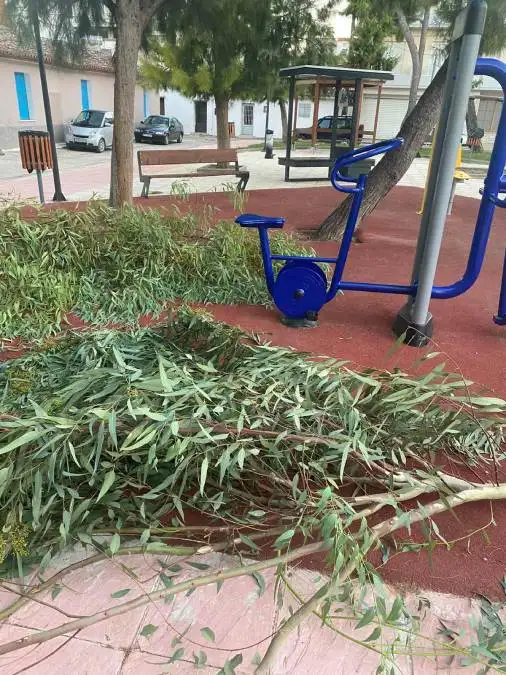 κλάρα δέντρο παιδική χαρά Άργος