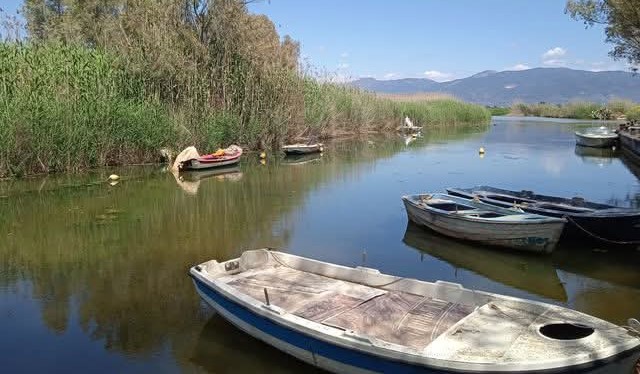 Μεσσήνη Πάμισος
