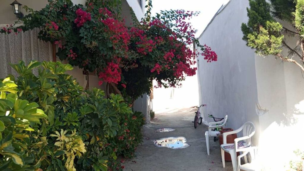Μοχός Κρήτης