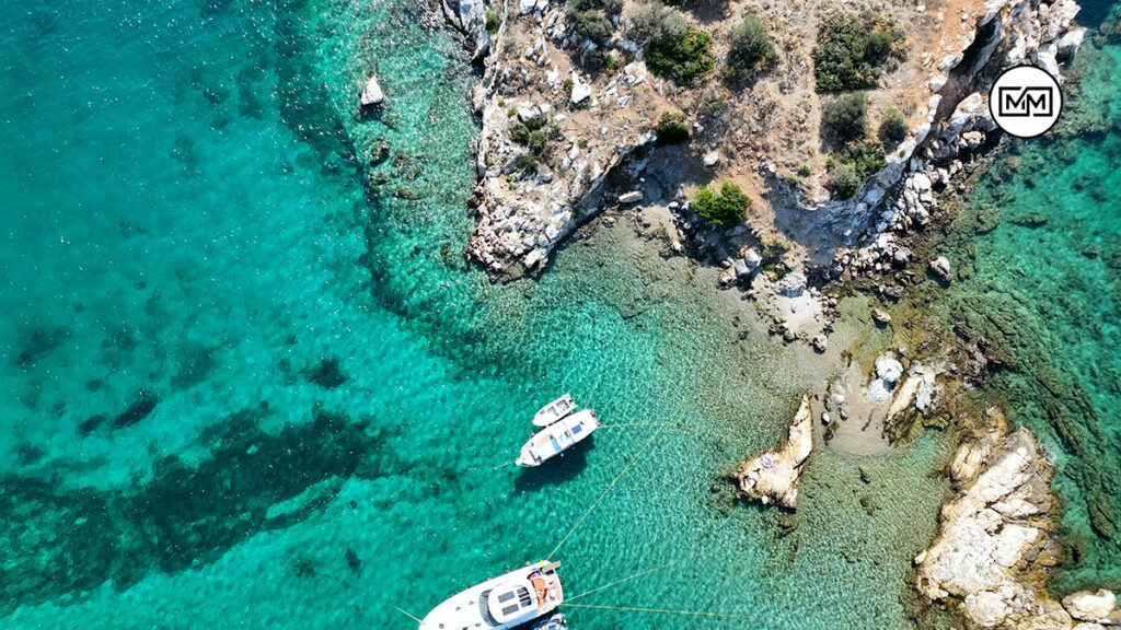 Περιστέρια Σαλαμίνα