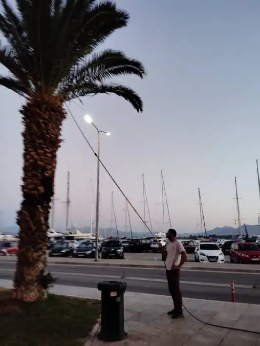ράντισμα φοίνικες Ναύπλιο