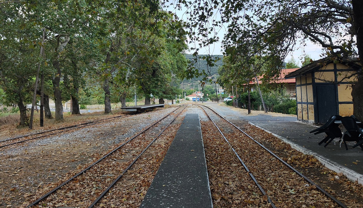 Σιδηρόδρομος Πελοποννήσου: Όχι στη μετατροπή του σε ποδηλατόδρομο – Ναι στην αναβίωσή του