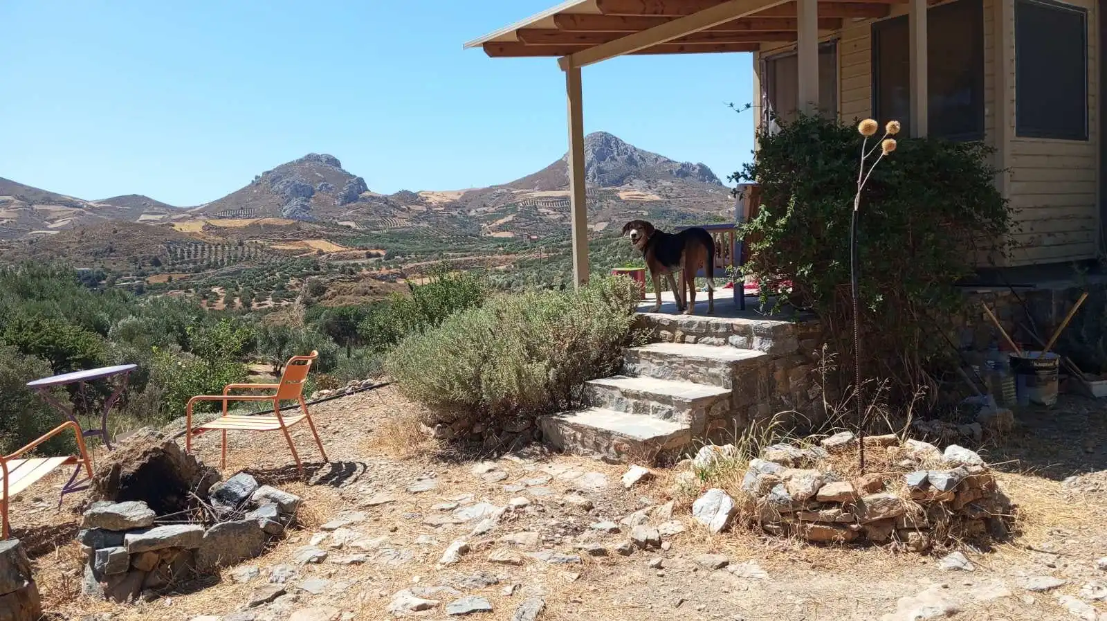 Από τα φώτα της τηλεόρασης στον παράδεισο των χίπις: Η Δήμητρα Σωτηριάδου στο φαράγγι του Κουρταλιώτη